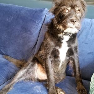 Meet your Posher, Kathryn